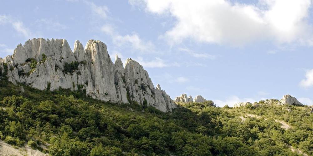 Les dentelles de Montmirail