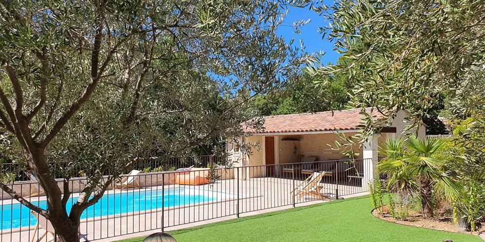 Piscine et oliviers
