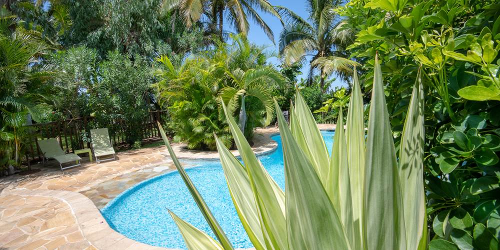 Piscine commune des locations Baobab et Palmiers entourée d'une végétation tropicale, L'Étang-Salé, La Réunion