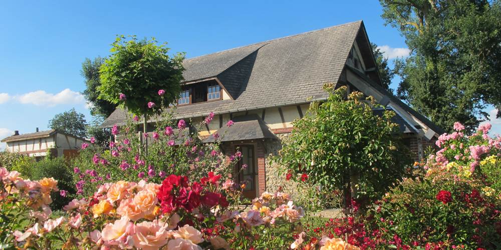 Decorosiers - Gîte du Petit Coq - aux3nidsfleuris