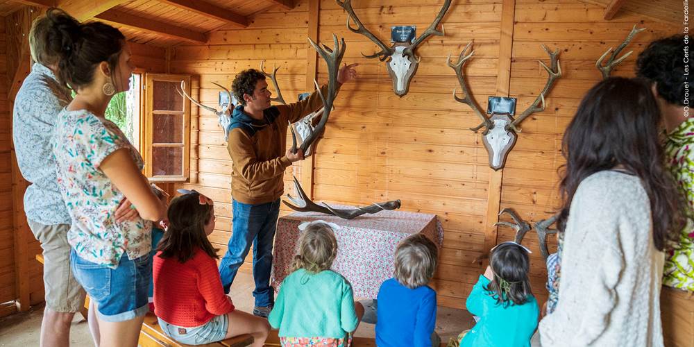 Cabane aux bois de cerfs