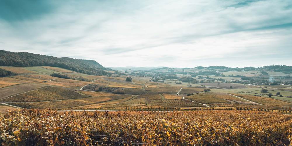 DOMAINE BAUD Génération 9 18 octobre 21 BD (61)