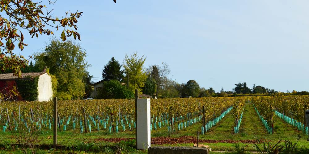 Le jardin vue sur vignes