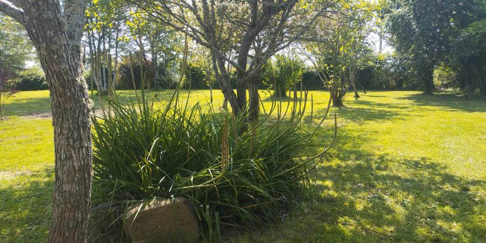 Parc arboré - Gîte de l'Espinasse