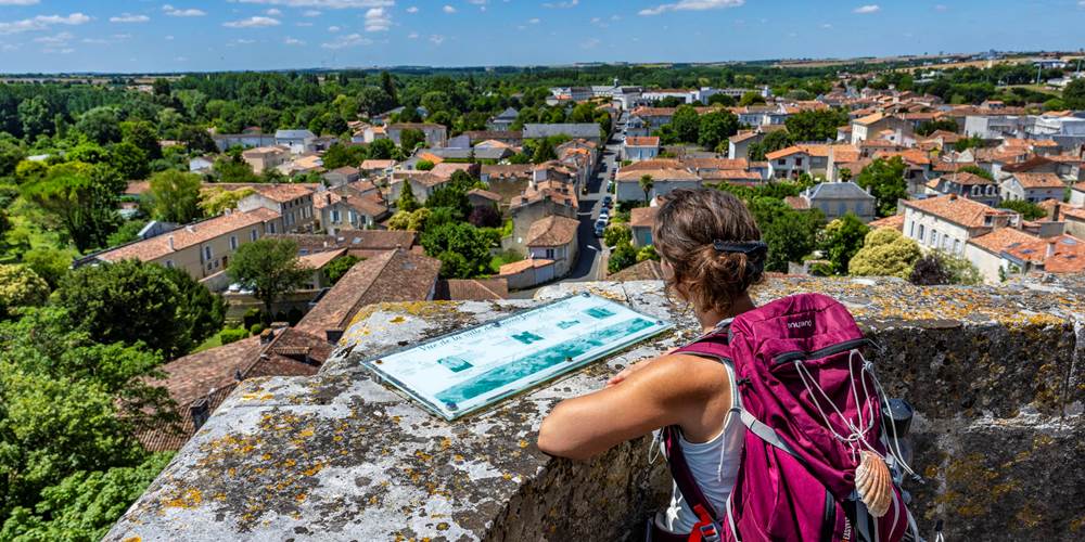 Saint Jean d'Angely - Point de vue depuis tours de l'abbatiale - AFCC JJGelbart