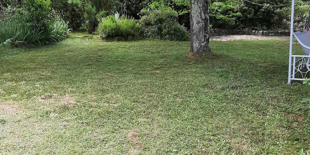 Jardin
