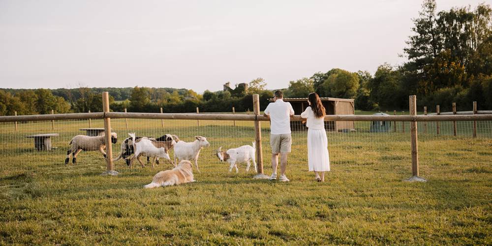 Moment avec les animaux du ranch