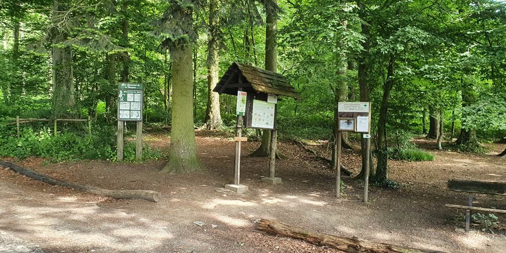 bois de la Vecquée, départ de sentiers
