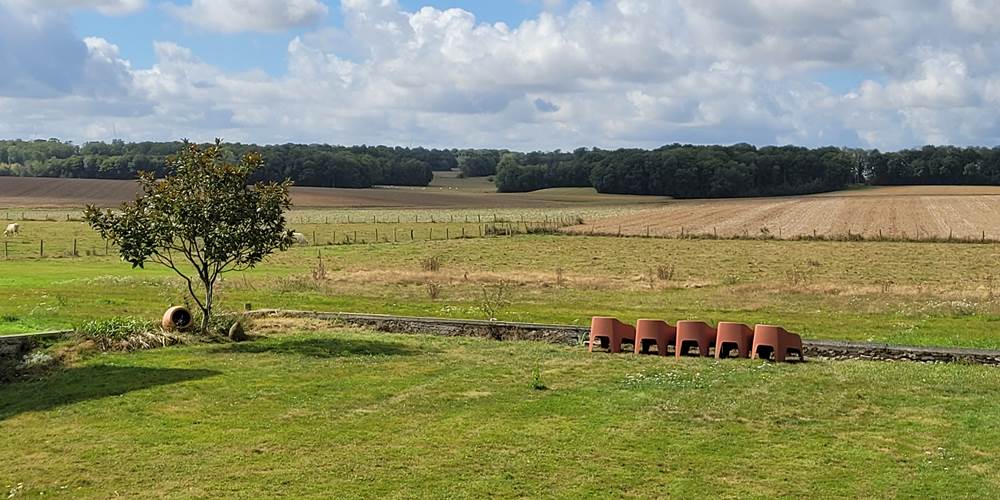 vue sur la nature 