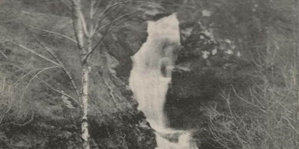 Carte postale vintage histoire parc vuillier correze tourisme tulle 4