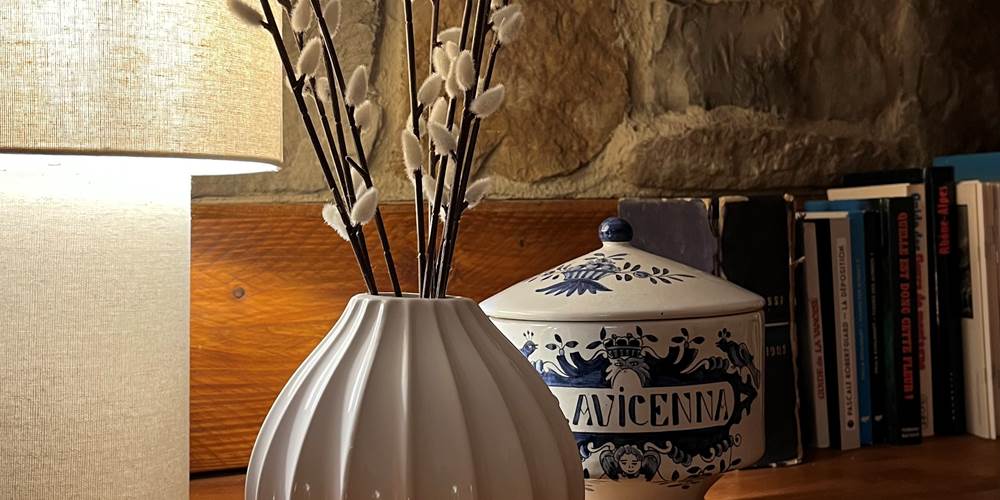 Décoration moderne en montagne