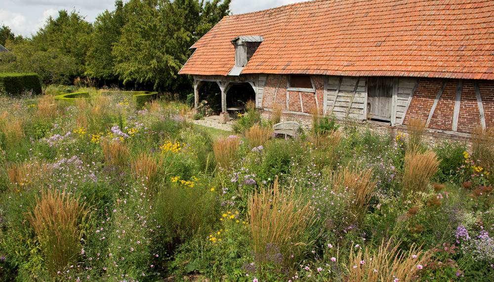 Jardin plume - Auzouville-sur-ry