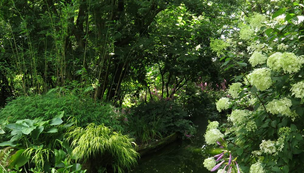 Jardin de Valérianes