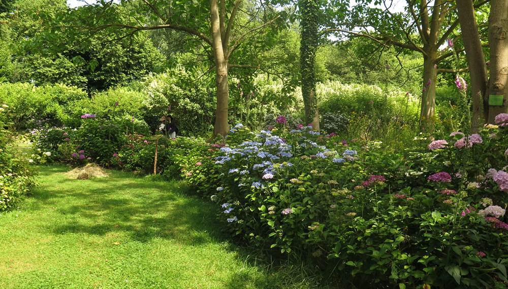 Jardin Shamrock - Varengeville sur mer