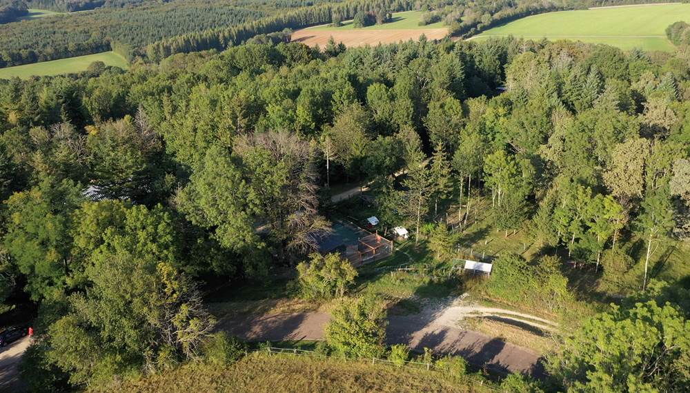 La foret est dangereuse en cas de grand vent