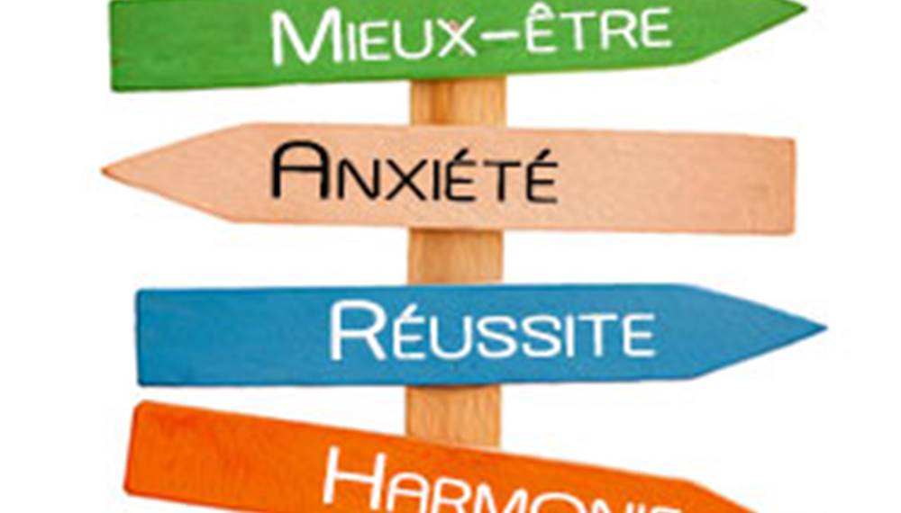 Sans titre