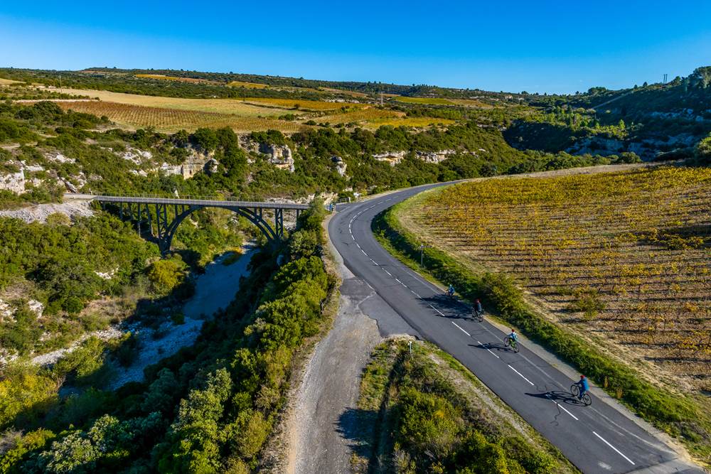Entre vigne et garrigue