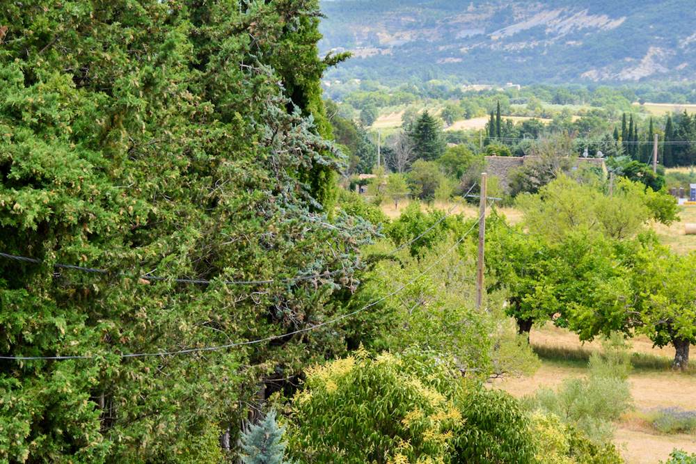 Vue depuis la chambre Ganagobie
