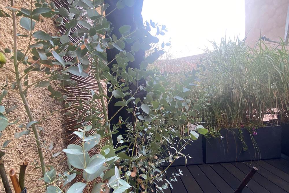 terrasse privée