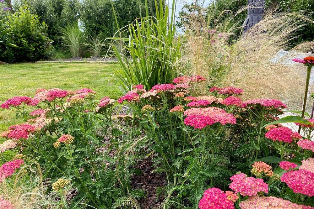 Au jardin