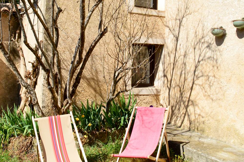 Thym terrasse