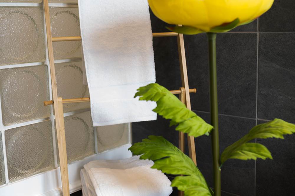 Linge de toilette Jalla et Descamp