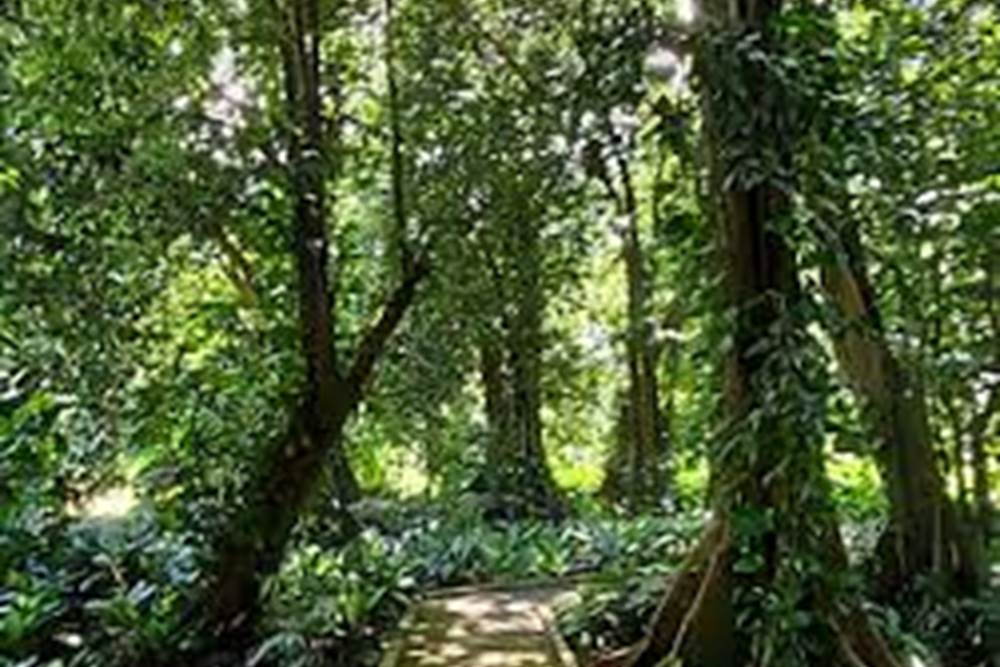 JARDIN B