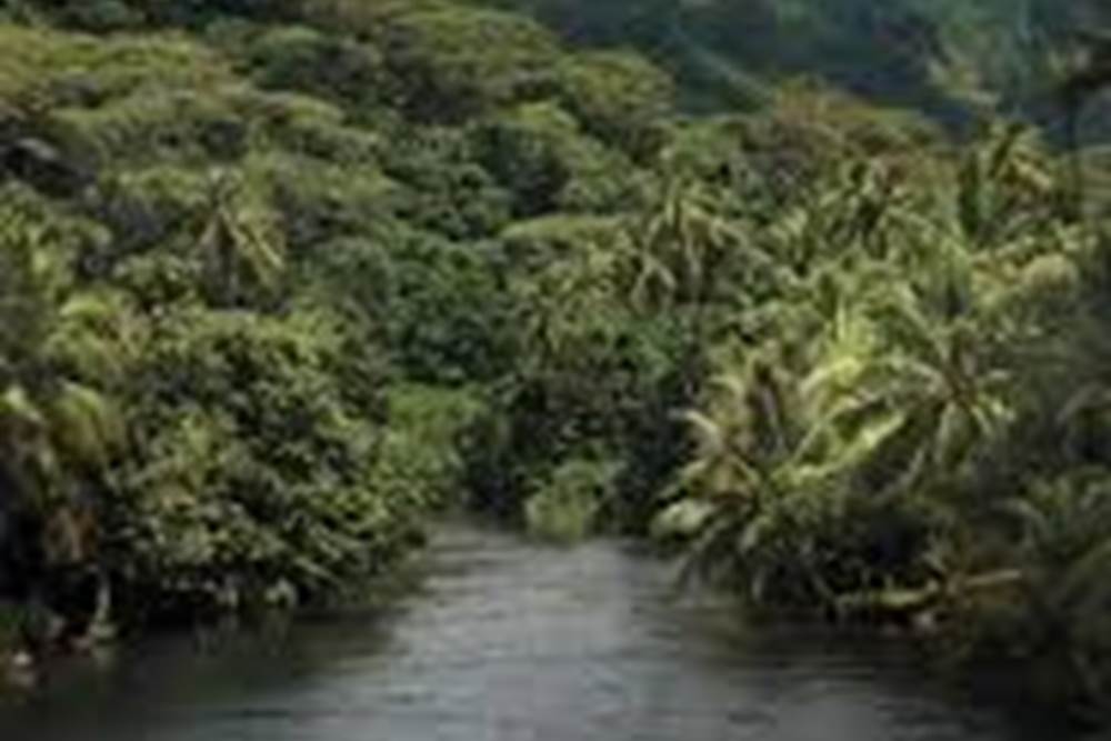 RIVIERE2