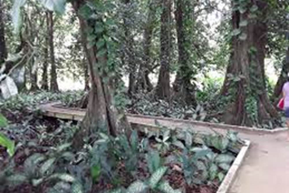 JARDIN B2