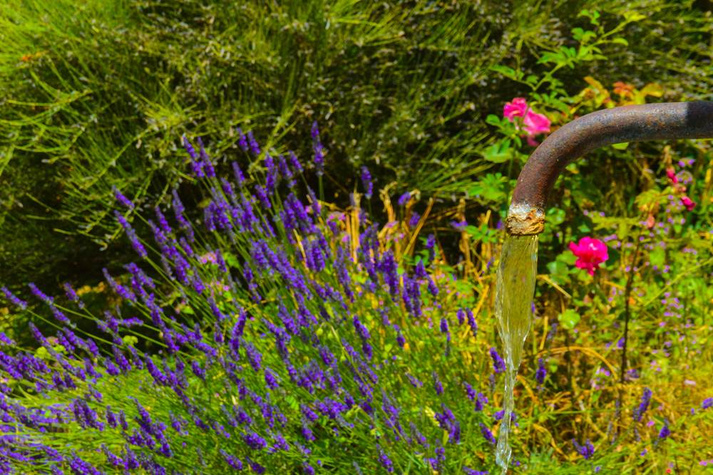 La fontaine de la Bastide du Claus