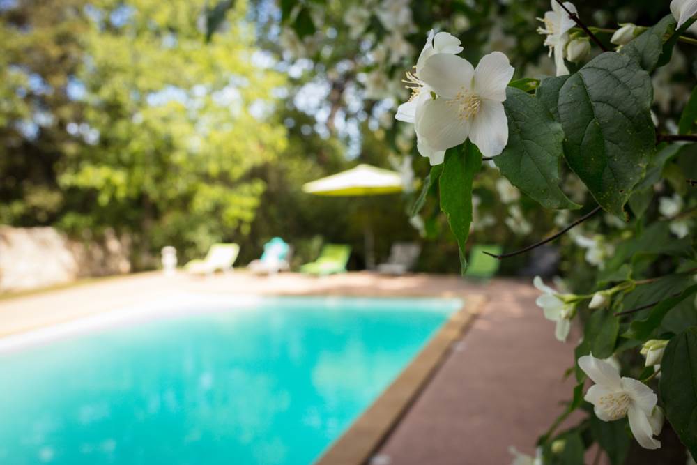 La piscine du Mas des Sages entourée de verdure avec jeux ombre et soleil