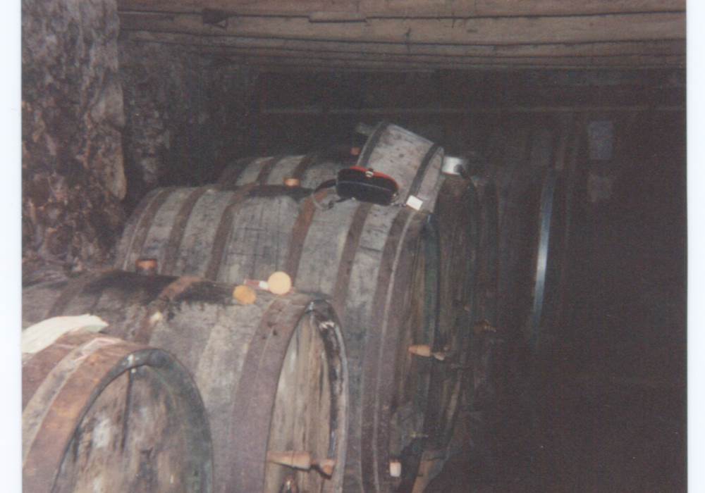 Cave ancestrale