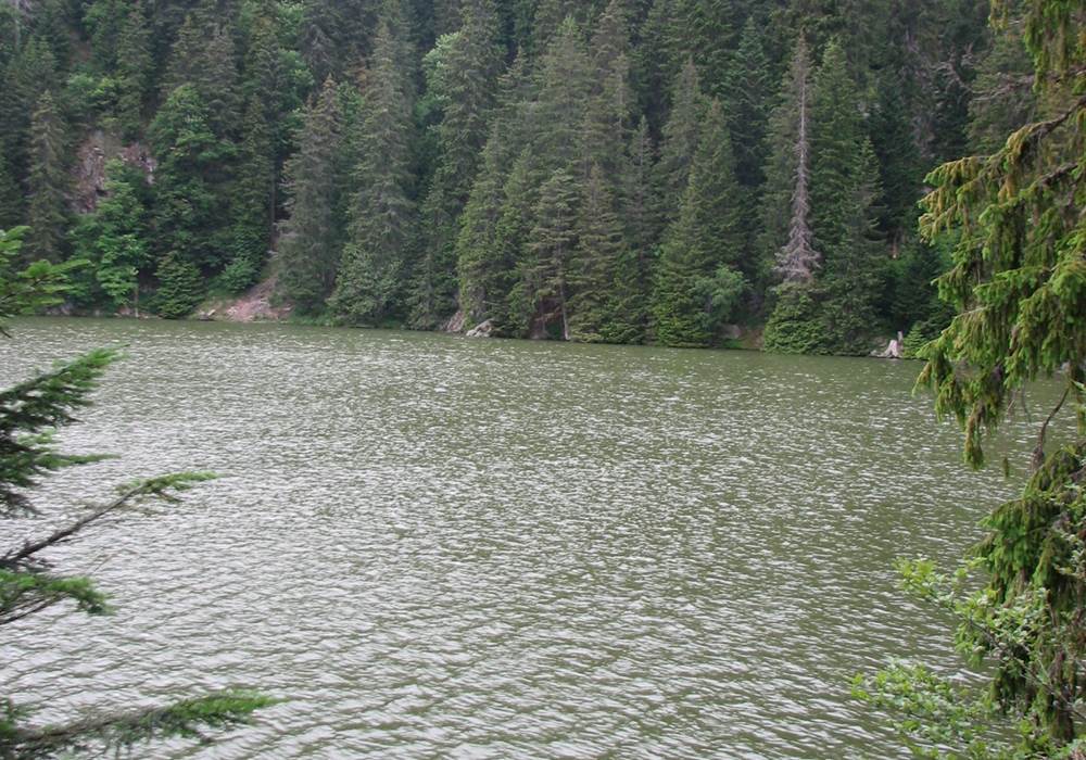 Lac vert
