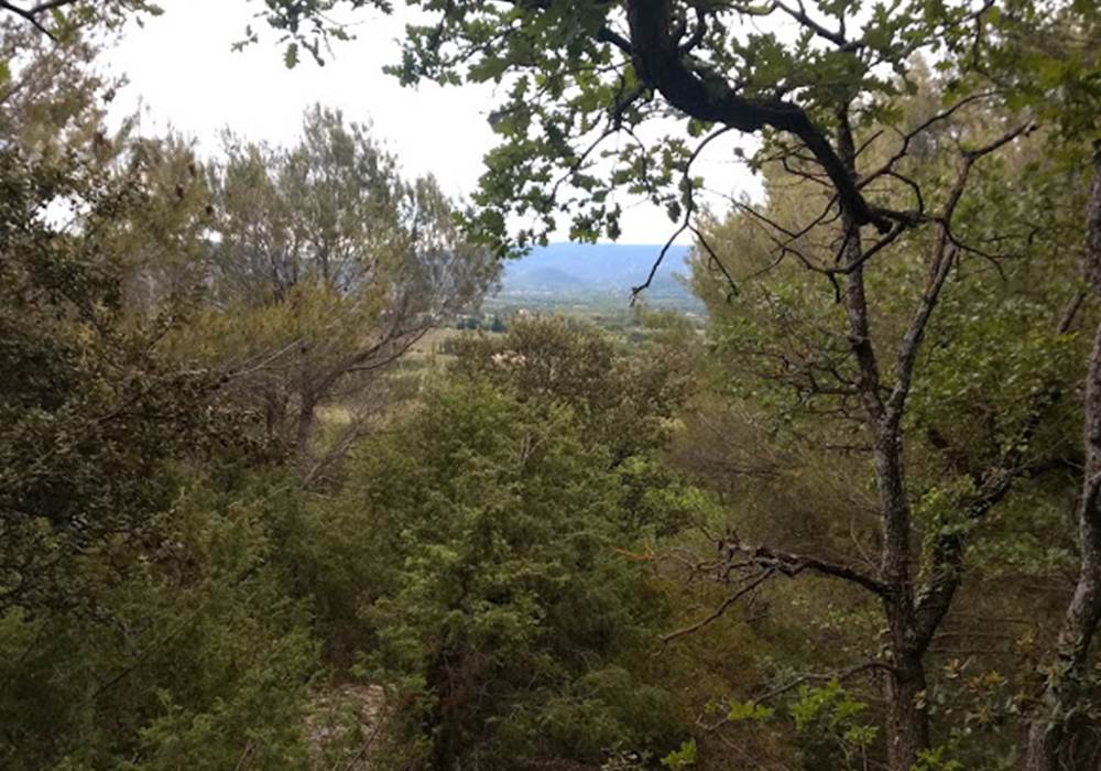 Cabrières d'Avignon