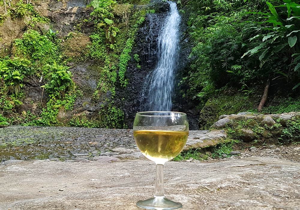 Vin de banane au saut Gendarme - visite excursion gourmande Pile et Face