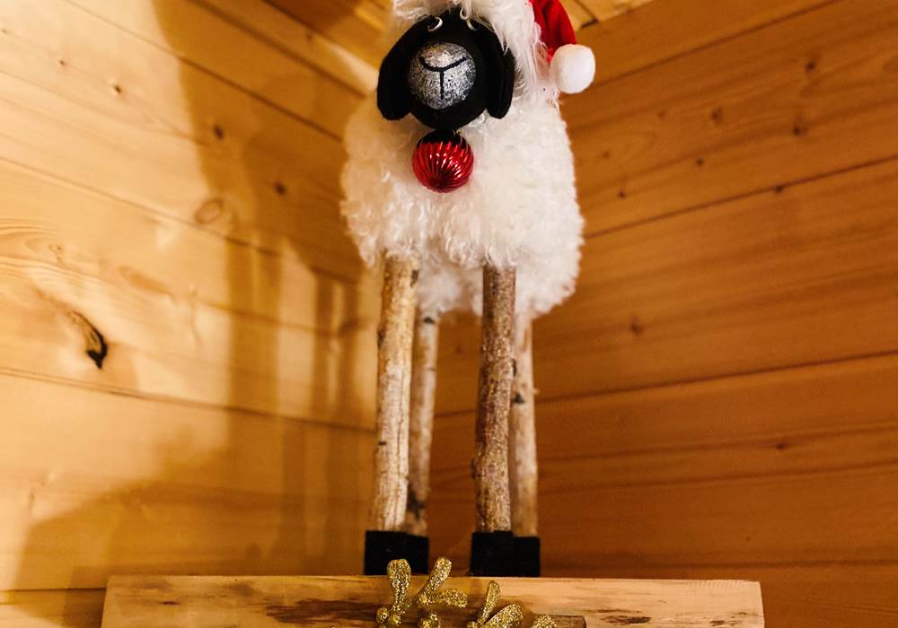 Le Hygge Chalet & Spa - 10 personnes