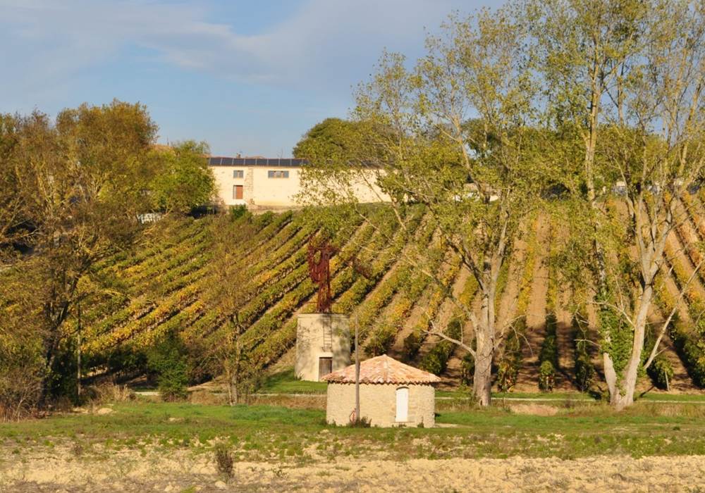 Caveau et chai