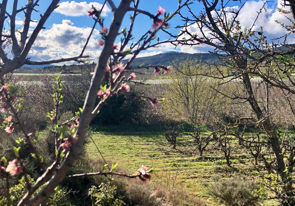 idée week end à faire au printemps