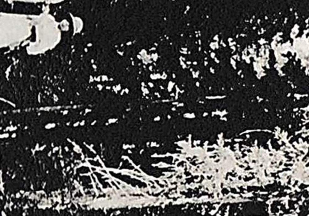 Photo ancienne de personnes dans la forêt