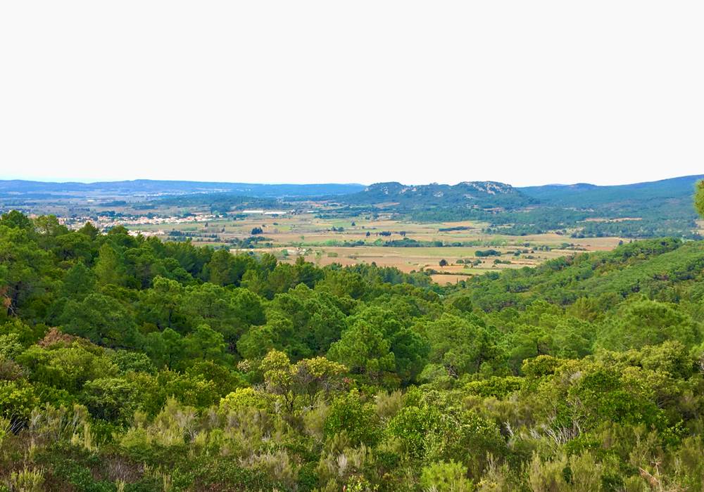 massif de Fontfroide