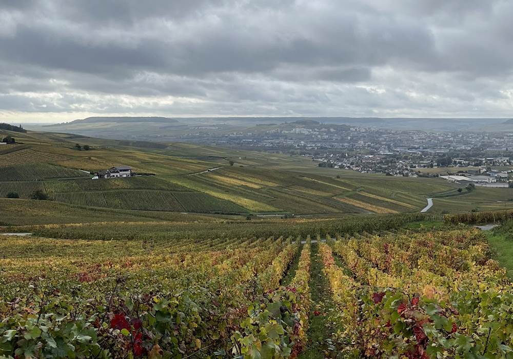 Que faire à Epernay et ses alentours ?