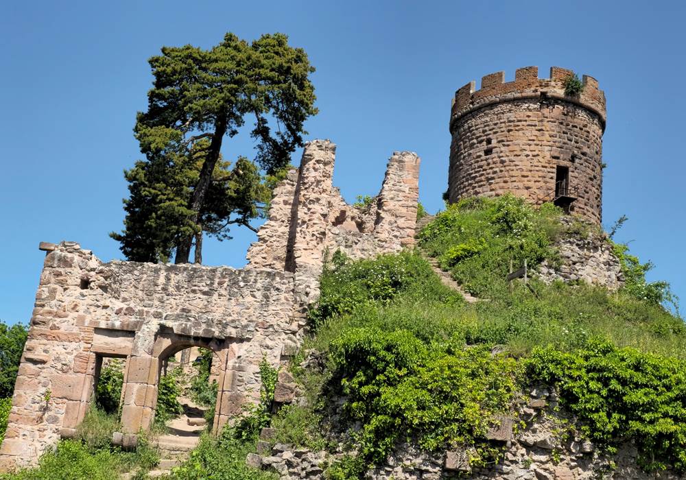 Ribeauville haut Ribeaupierre