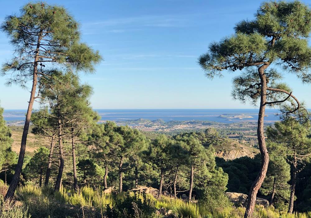 massif de Fontfroide