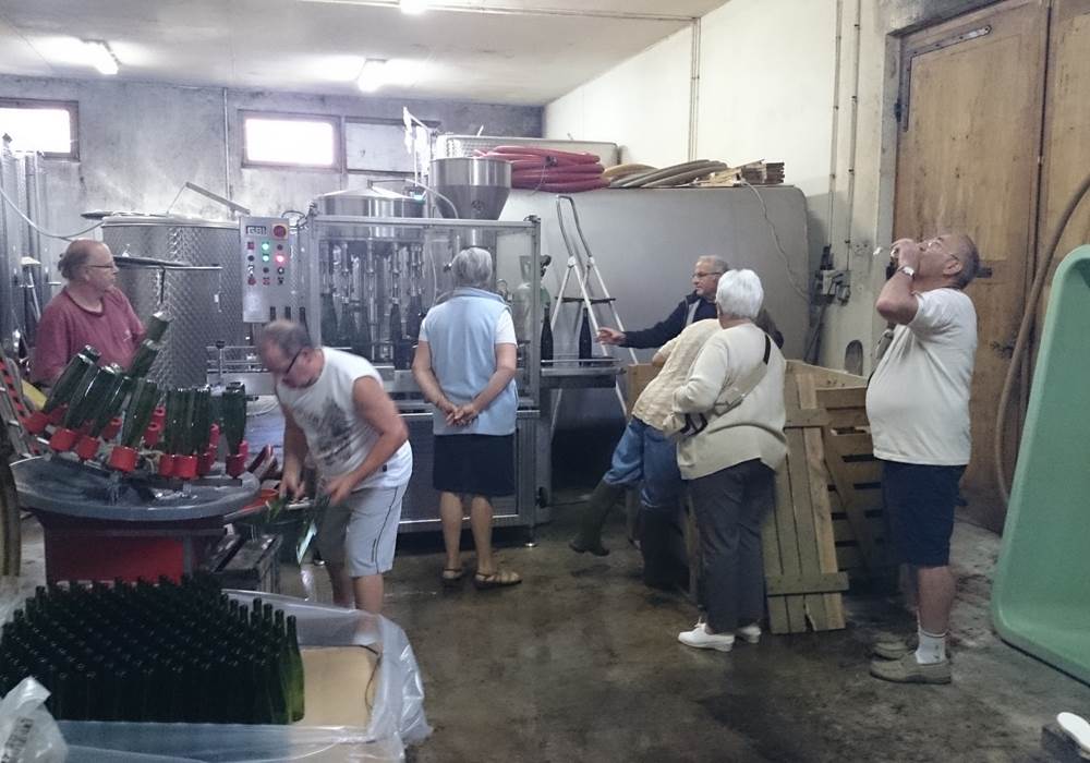 Cave mise en bouteilles