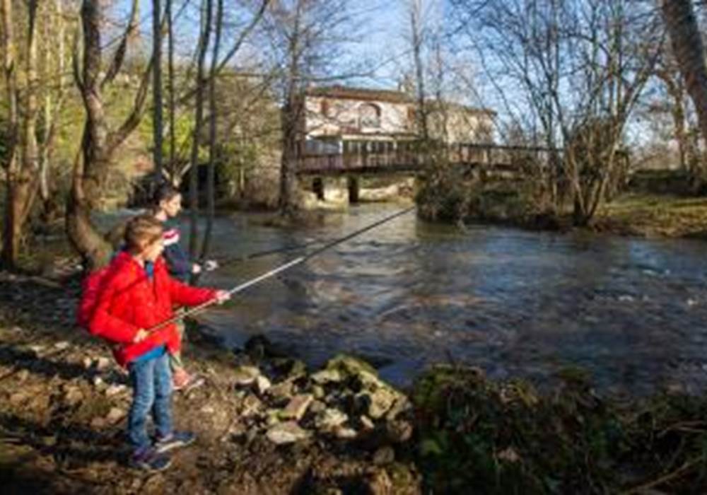 au-bouchon-17-meuble-de-tourisme-saint-aigulin-15-personnes-pêche-dronne