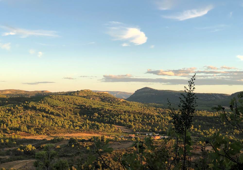massif de Fontfroide