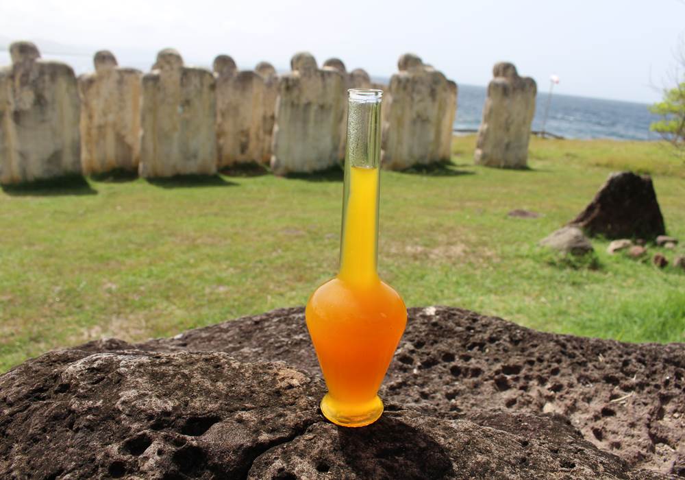 Cap 110 Anse Caffard - visite excursion gourmande Glouglou Fresh