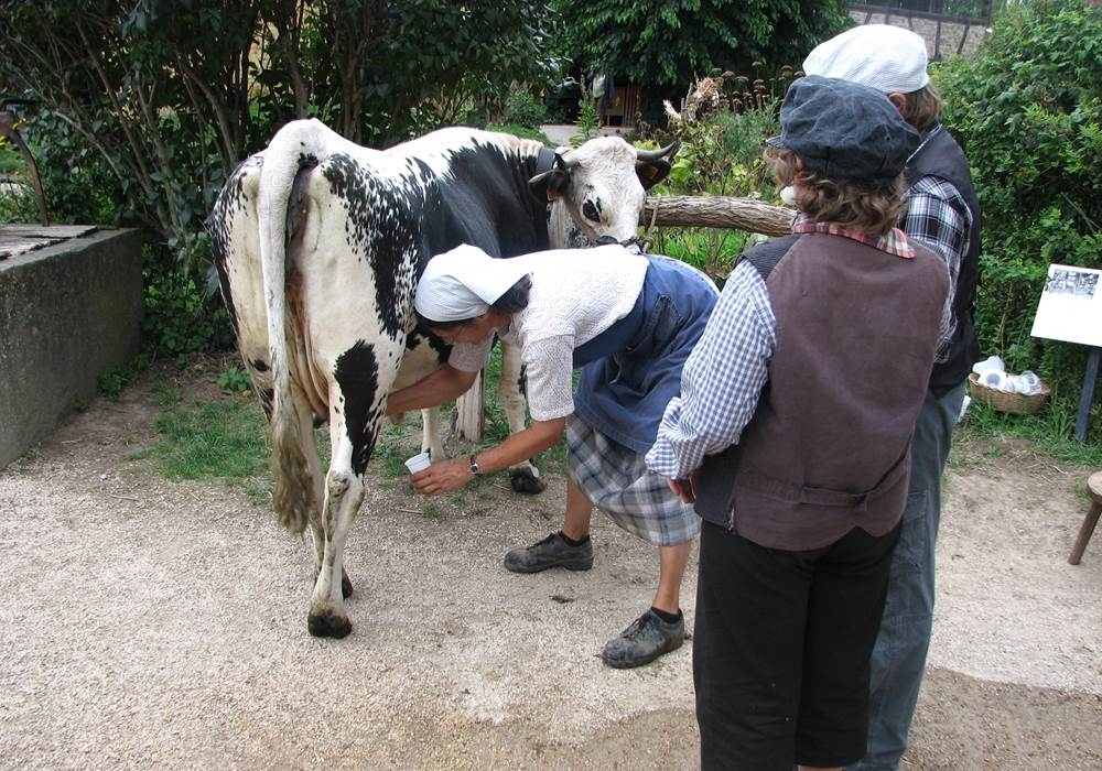 Ecomusee ferme