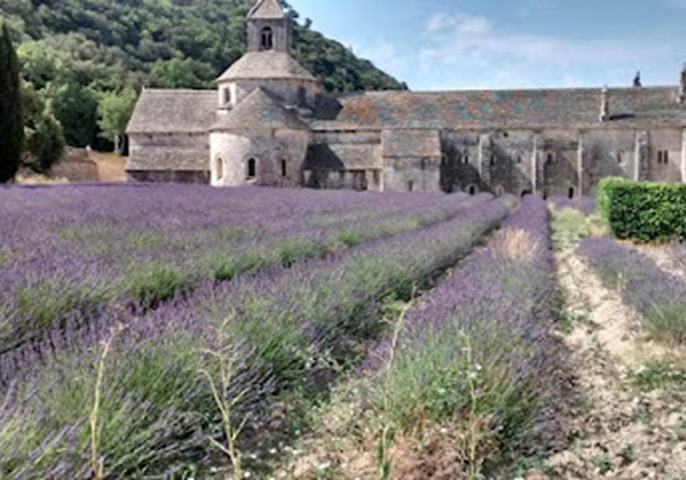 Abbaye de sénanque