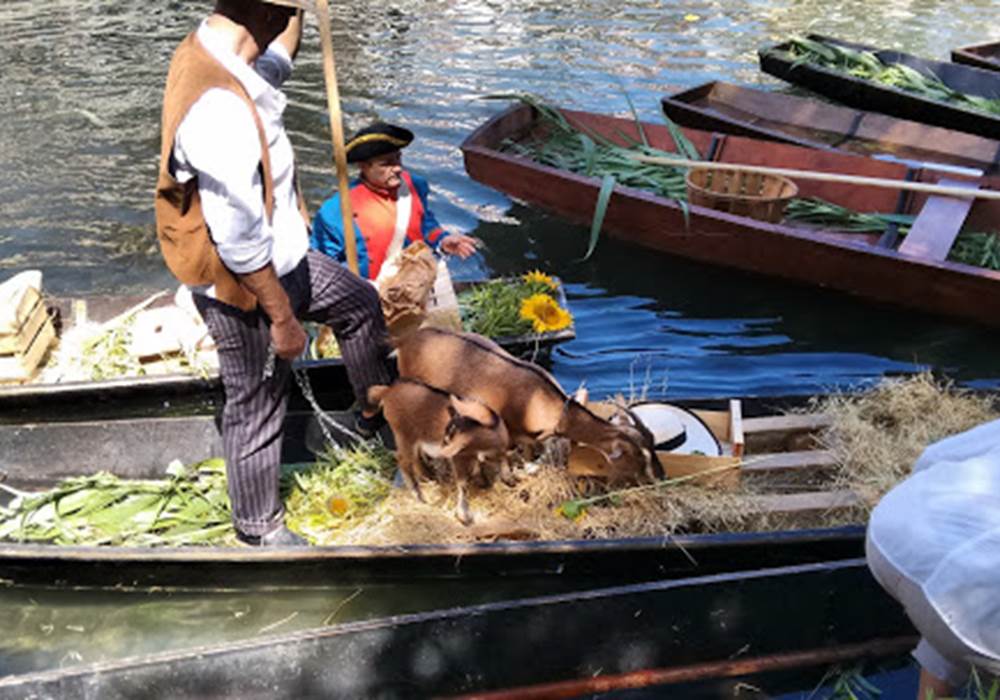 credit photo cecile Torres